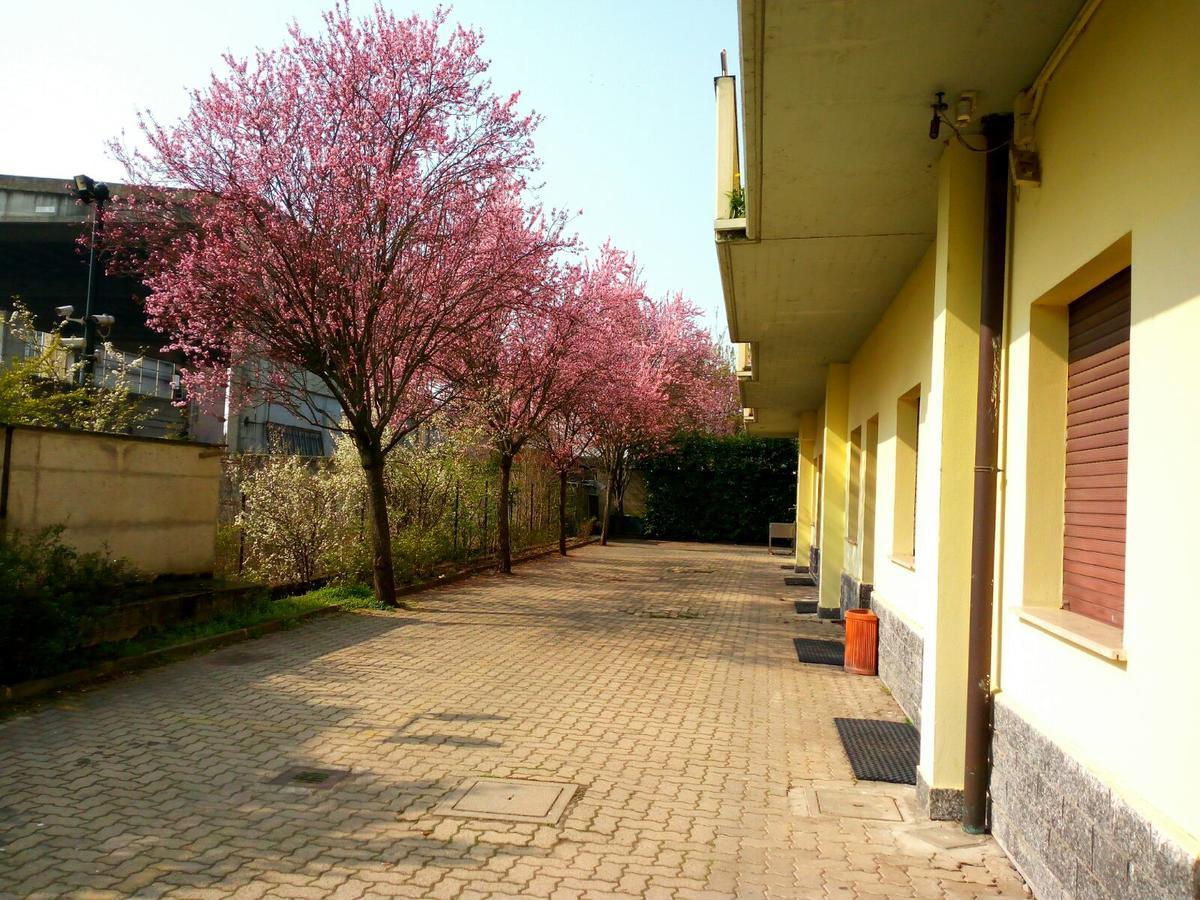 Nuovo Hotel ויג'באנו מראה חיצוני תמונה